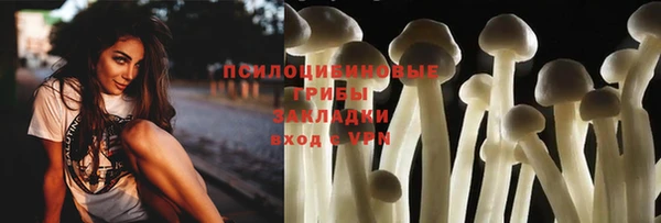 герыч Богородск