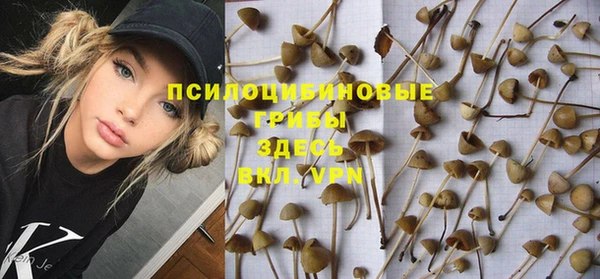 герыч Богородск